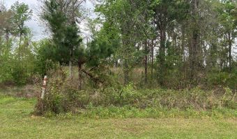 N/A Blue Springs, Bainbridge, GA 39819
