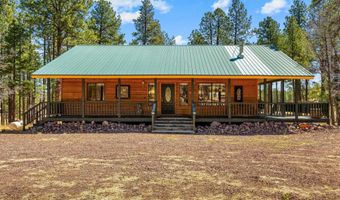 61 Co Rd 2266, Alpine, AZ 85920
