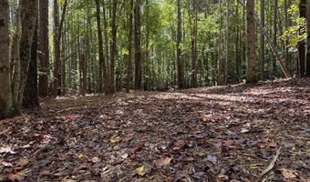 Coleman Mountain Road, Appomattox, VA 24522