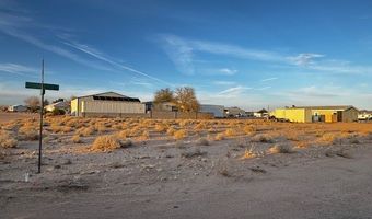 9668 Kinner Dr, Cal Nev Ari, NV 89039