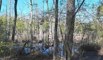 707 Mt Ebal Rd, Batesburg, SC 29006