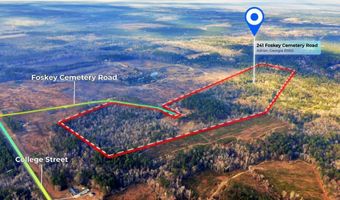 241 Foskey Cemetary Rd, Adrian, GA 31002