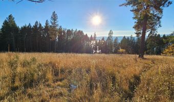 Nhn Sylvan Drive, Bigfork, MT 59911