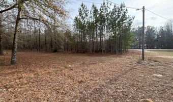 N broad St, Abbeville, GA 31001