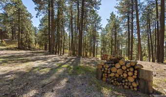 138 Green Ridge Dr, Bayfield, CO 81122