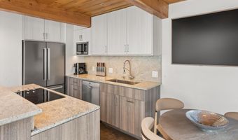 1024 E Cooper Avenue 3a, Aspen, CO 81611
