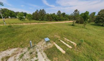 676 County Road 403, Alton, MO 65606