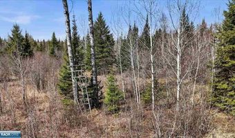 8849 Hwy 25, Angora, MN 55703