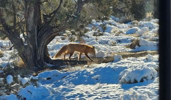 261 ROAD 5500, Bloomfield, NM 87413