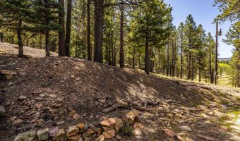 253 Saladon Rd, Angel Fire, NM 87710