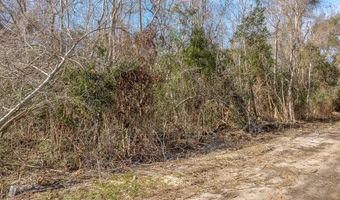 222 23rd Ave Lot L20 & 21/B233, Apalachicola, FL 32320