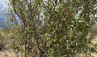 19 6 Acres Beryl With Water & Electric, Beryl, UT 84714