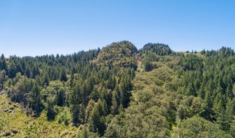 000 Bosley Butte Rd, Brookings, OR 97415