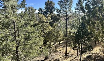 T15B Partridge Ct. lot Tract 15B, Alto, NM 88312