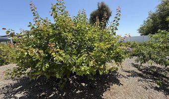 3923 San Pablo Ave, Oceanside, CA 92057