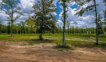 6748 N Detonti Rd, Bauxite, AR 72011
