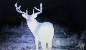 E 1931 RD, Antlers, OK 74523