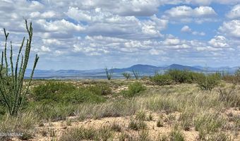 1590 S Canyon Overlook Trl, Benson, AZ 85602