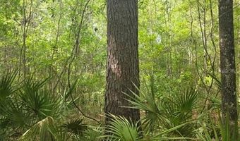 4814 NW 244 Ave, Alachua, FL 32615