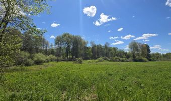 15252 27 Mile Rd, Albion, MI 49224