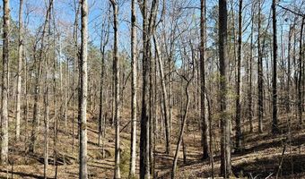 Highway 28, Abbeville, SC 29620