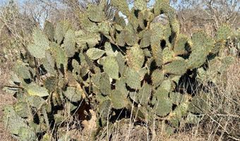 CR 119 lot 0, Alice, TX 78332