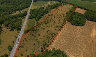 25 69 ACRES Gaissert Rd, Albany, GA 31705