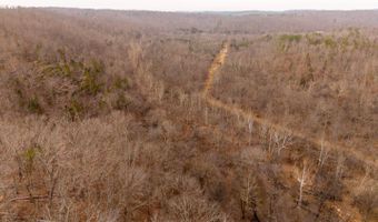 County Road 19-A, Alton, MO 65606
