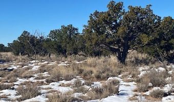 211 Windmill Rnch, Carrizozo, NM 88301