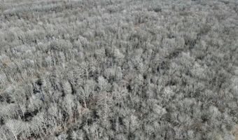 Putnam Road, Belzoni, MS 39038