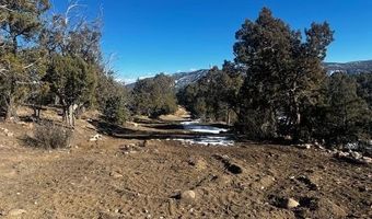 132 White Tail Pl, Arboles, CO 81121