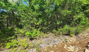 Strawberry Valley Road, Ash Flat, AR 72513