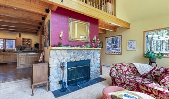 463 Blue Flag Cir, Breckenridge, CO 80424