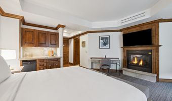 415 E Dean St Unit 20 Week 33, Aspen, CO 81611