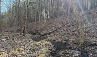MOUNTAIN CUT RD lot D, Appomattox, VA 24522