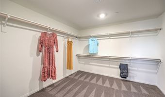 1032 PEACOCK PLUME Ave, Henderson, NV 89011