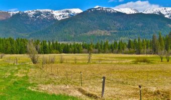 895 Mud Lake Rd, Bigfork, MT 59911