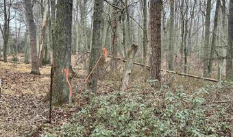 ELLY RD lot 50 81, Aroda, VA 22709