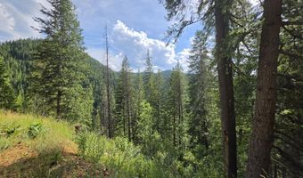 480 Dunn Peak Rd, Avery, ID 83802