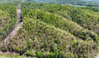 Tbd Green Springs Road, Abingdon, VA 24211