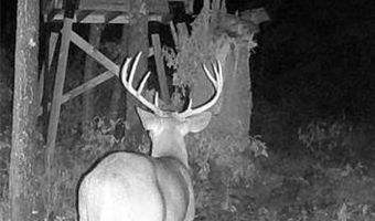 Off Hwy F, Annapolis, MO 63620