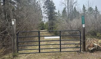 4200 Bloom Rd, Alpena, MI 49707