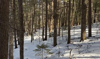 Hodgdon Road, Alexandria, NH 03222