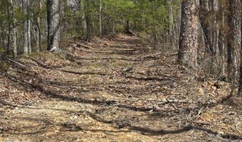 Steve Brown Rd, Bean Station, TN 37708