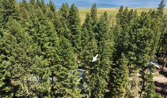 9 Victoria Way, Cascade, ID 83611