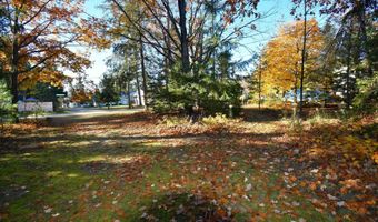 8990 PARK Ave, Alanson, MI 49706