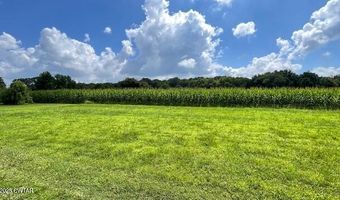 3945 Old Trezevant Rd, Atwood, TN 38220
