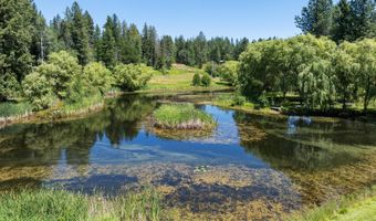 784 Twin Rivers Rd, Athol, ID 83801