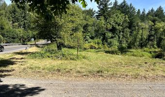 000 NE 221ST Ave, Amboy, WA 98601