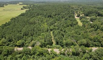 Hwy 21E, Alto, TX 75925